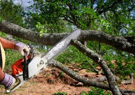 Lawn Drainage Solutions in Olton, TX